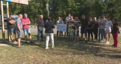 Протест срещу фотоволтаичен парк в Кнежа